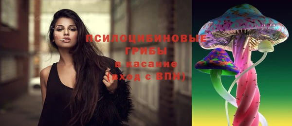 твердый Гусь-Хрустальный