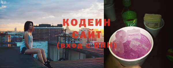 эйфоретик Гусев
