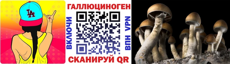 купить   Октябрьск  Псилоцибиновые грибы MAGIC MUSHROOMS 